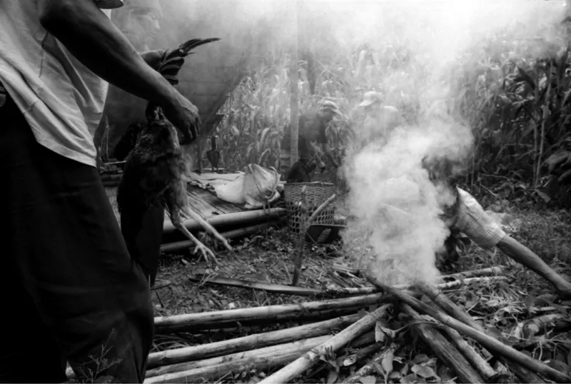 man brings rooster for sacrifice while other man starts fire