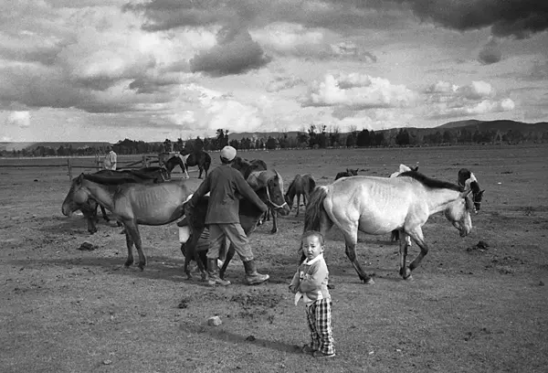 Mongolia Ulaanbaatar Story