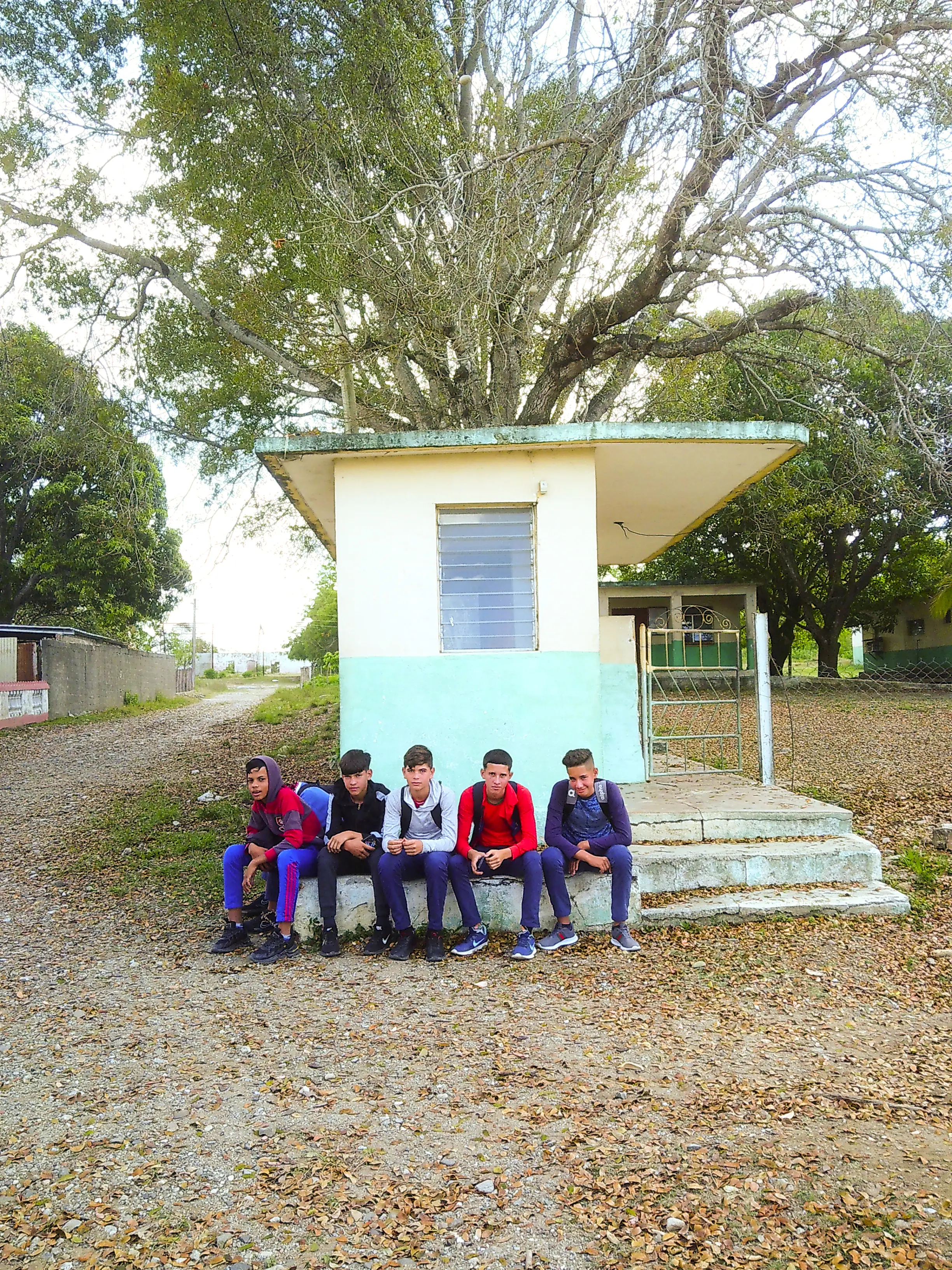 pupils students boys under tree