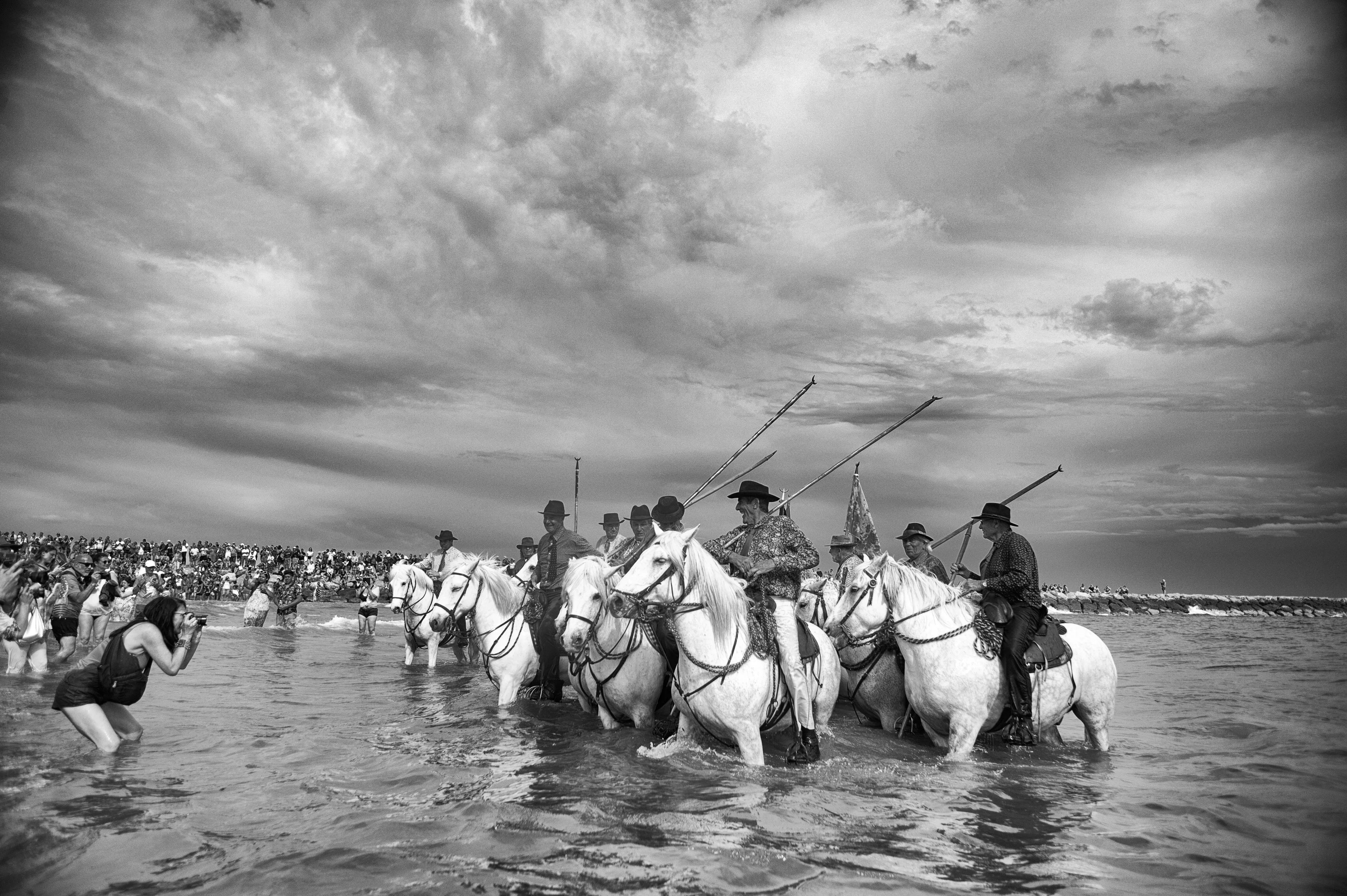 horses and men in the sea