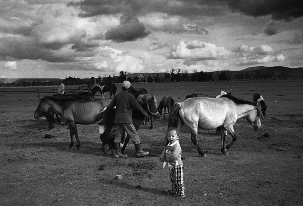 small kid with horses on camping field