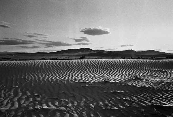 mongolian desert of Gobi landscape