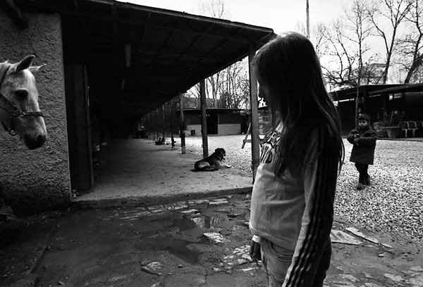 little girl and horse head suspended